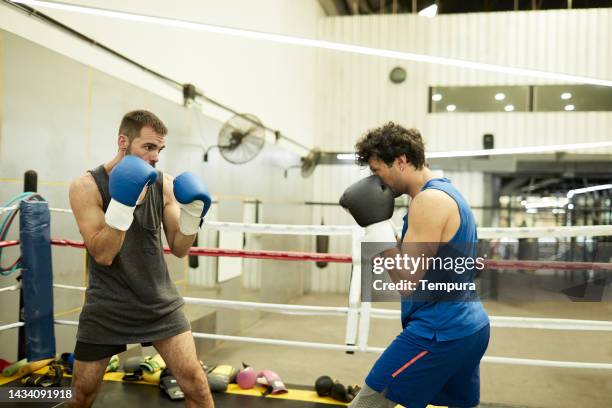 focused boxers in fighting stance readying for the punch in sparring session. - argentina training session stock pictures, royalty-free photos & images