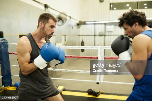 aggressive and intense boxing sparring session in training gym - argentina training session stock pictures, royalty-free photos & images