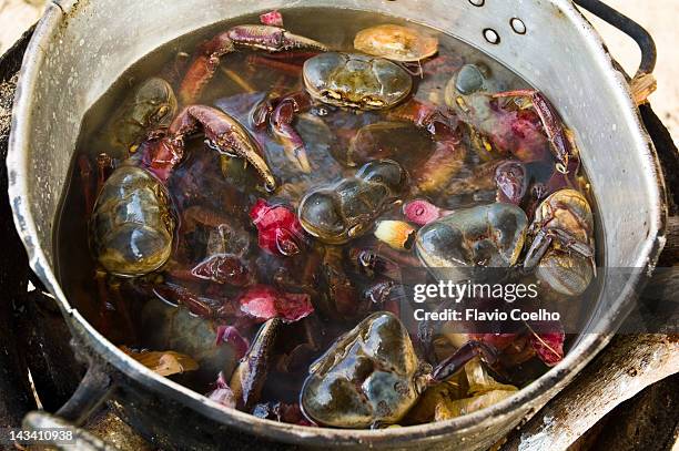 42 Seafood Boil Beach Stock Photos, High-Res Pictures, and Images ...