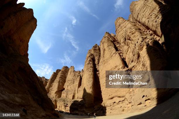 Forest Yellow Rocks 176 Yellow River Stone Forest Stock Photos, High-Res Pictures, and ...