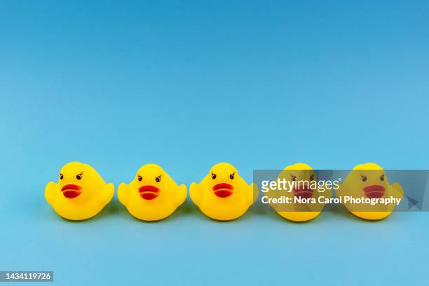 rubber ducks in a line on blue background - rubber ducks in a row stock pictures, royalty-free photos & images