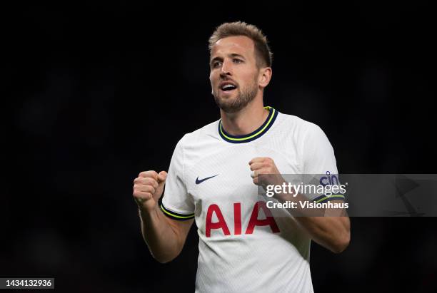 Harry Kane of Tottenham Hotspur celebrates Pierre-Emile Højbjerg's goal during the Premier League match between Tottenham Hotspur and Everton FC at...