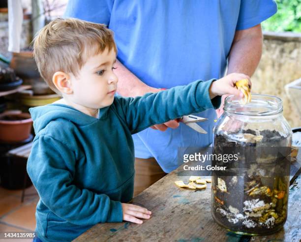 a boy son helping his father to make compost - compost bin stock pictures, royalty-free photos & images