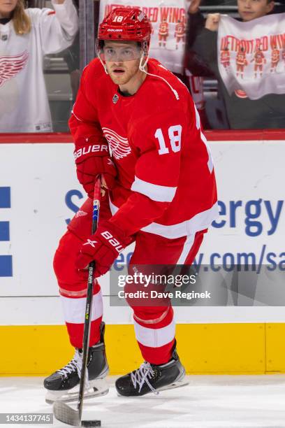 Andrew Copp of the Detroit Red Wings skates around in warm ups before an NHL game against the Montreal Canadiens at Little Caesars Arena on October...