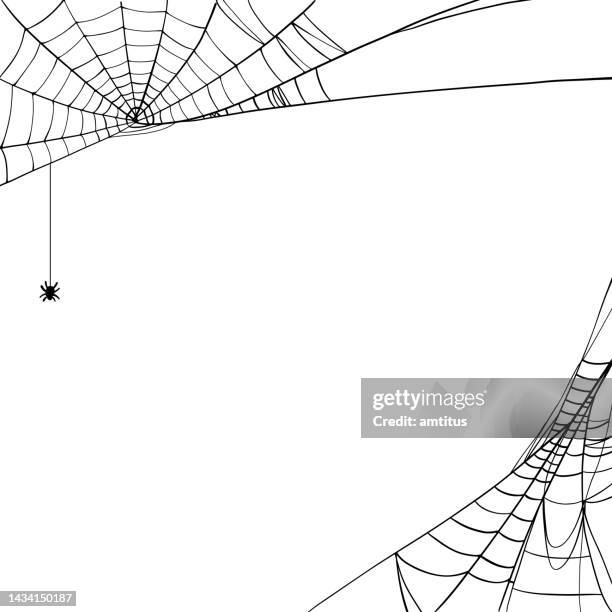 stockillustraties, clipart, cartoons en iconen met spider webs - spinnenweb