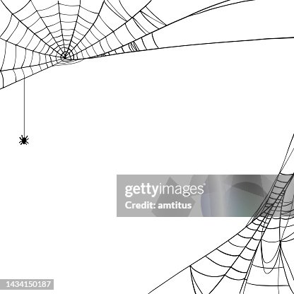 Spider webs Spider webs