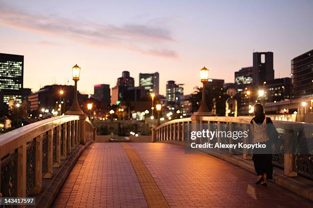 skyline of osaka at sunset - région de kinki photos et images de collection