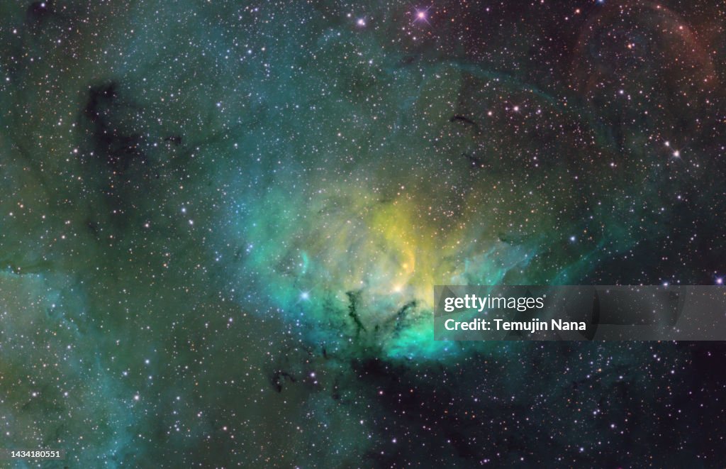 Tulip Nebula