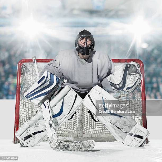 ice hockey goal keeper in front of goal - difensore hockey su ghiaccio foto e immagini stock
