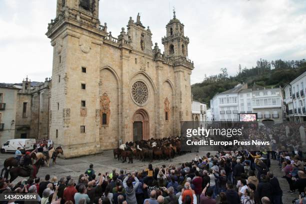 Several horses are led by shepherds down a hill in front of the Mindoniense Cathedral, on 17 October, 2022 in Mondoñedo, Lugo, Galicia, Spain. The...