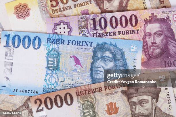 hungarian forint as a background - hungarian culture photos et images de collection