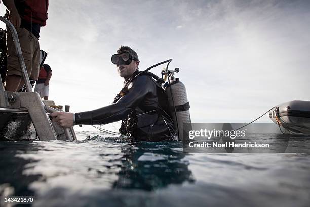 a scuba diver emerges from the water - mergulho submarino - fotografias e filmes do acervo