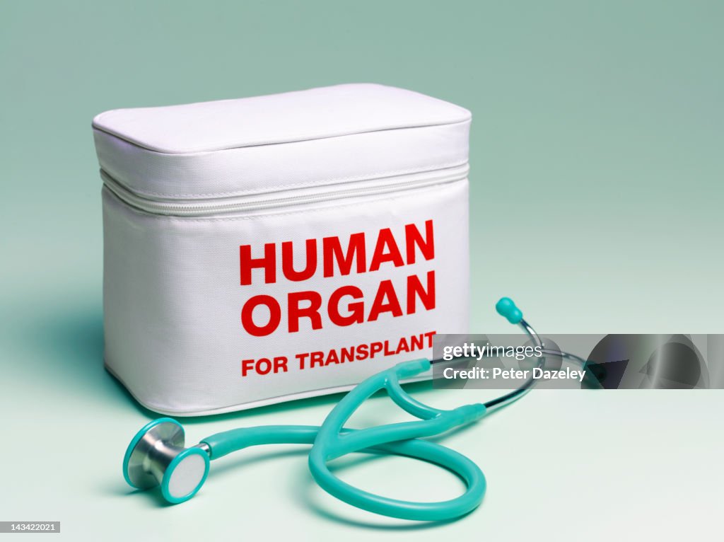 Human organ transplant bag and stethoscope