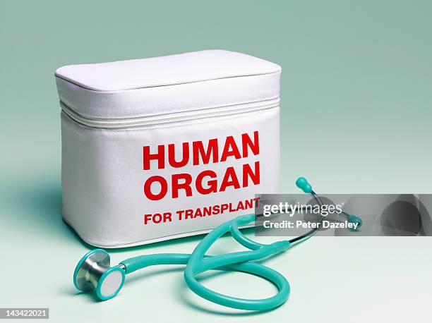 human organ transplant bag and stethoscope - transplant surgery stock pictures, royalty-free photos & images