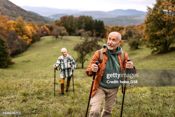 senior hikers enjoying walk in autumn nature. - avontuur stockfoto's en -beelden