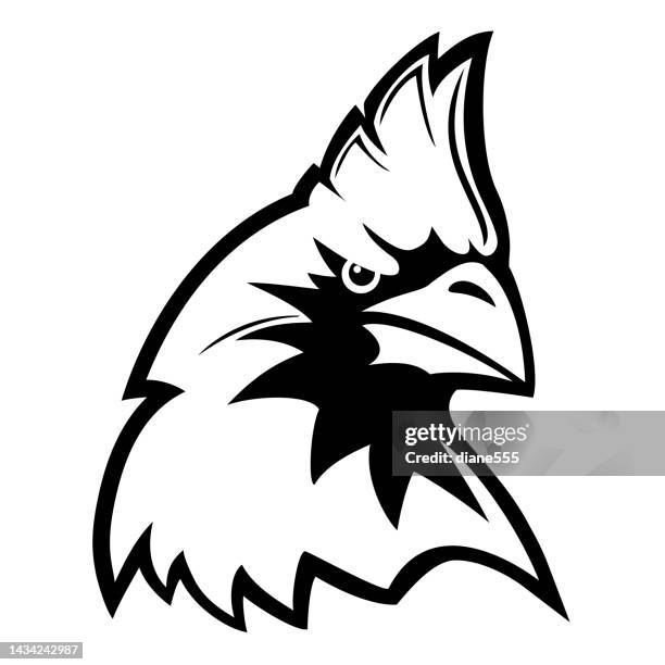 Certinal Esign Logo 13 Cardinal Logo High Res Illustrations - Getty Images