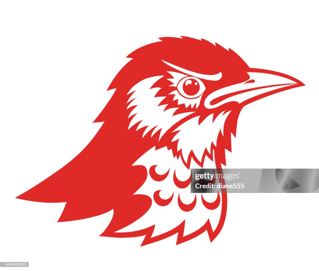 Angrey Robin Angry Robin Isolated Mascot Design Element High-Res Vector Graphic ...