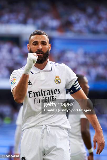 Karim Benzema of Real Madrid CF celebrates after scoring his team's first goal during the LaLiga Santander match between Real Madrid CF and FC...