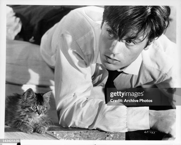 Tiny kitten keeps Alain Delon company after he finds himself made a prisoner in a scene from the film 'The Love Cage', 1964.