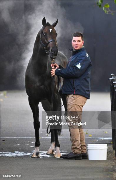 Profondo is seen after being washed during the Breakfast With The Best Trackwork Session at Moonee Valley Racecourse on October 18, 2022 in...