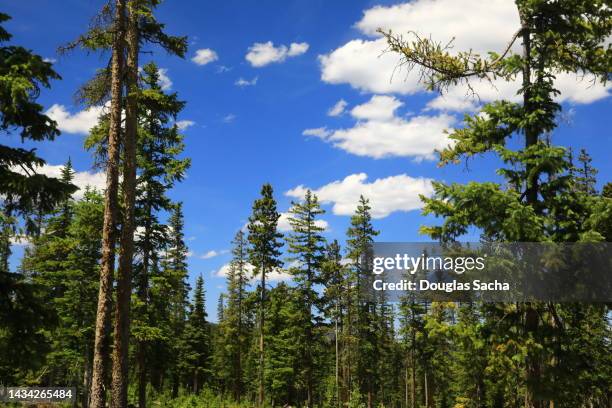 Denver Rural Area 4,313 The Denver Country Club Stock Photos, High-Res Pictures, and ...