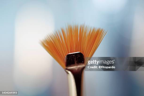 close-up of a paintbrush shot on a macro lens - fitopardo stock pictures, royalty-free photos & images