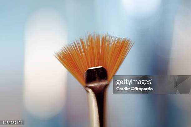 close-up of a paintbrush shot on a macro lens - fitopardo stock pictures, royalty-free photos & images