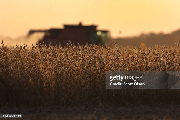 Farmer harvests soybeans in a field along the Mississippi River on October 17, 2022 near Wyatt, Missouri. Lack of rain in the Ohio River Valley and...