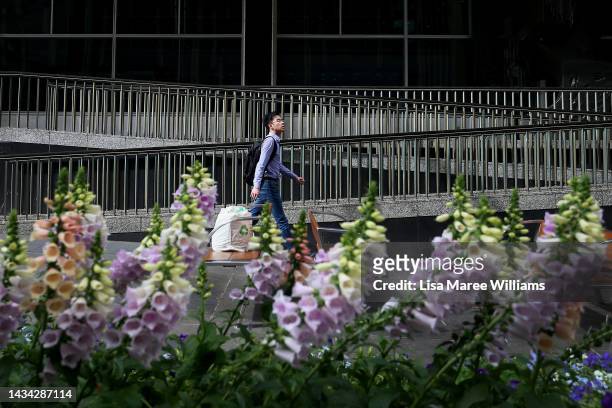 Pedestrian moves past the Reserve Bank of Australia building on October 18, 2022 in Sydney, Australia. Australia's Treasurer Jim Chalmers said last...
