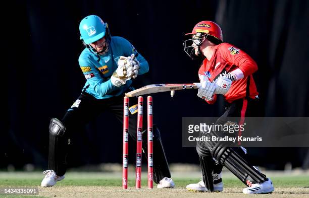 Courtney Webb of the Renegades is stumped by Georgia Redmayne of the Heat during the Women's Big Bash League match between the Brisbane Heat and the...