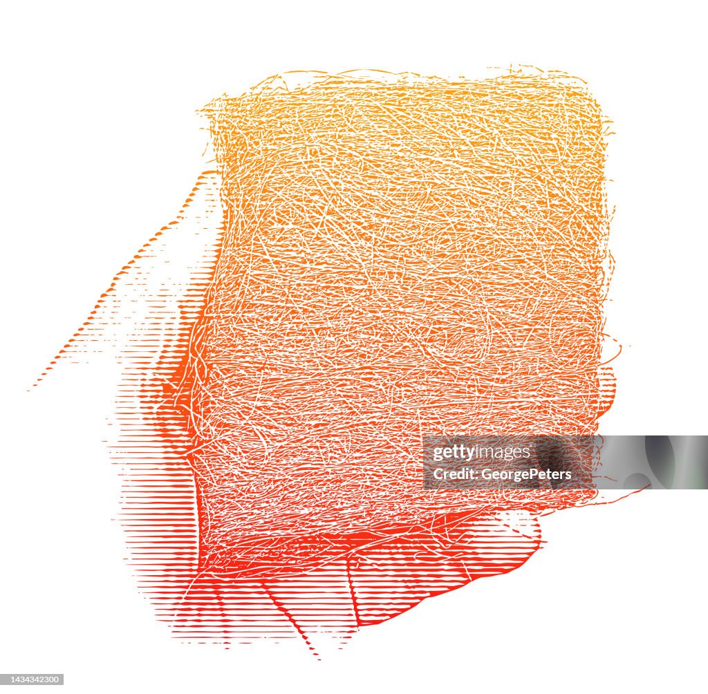 Hand holding Wire Wool