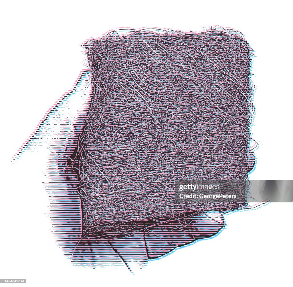 Hand holding Wire Wool
