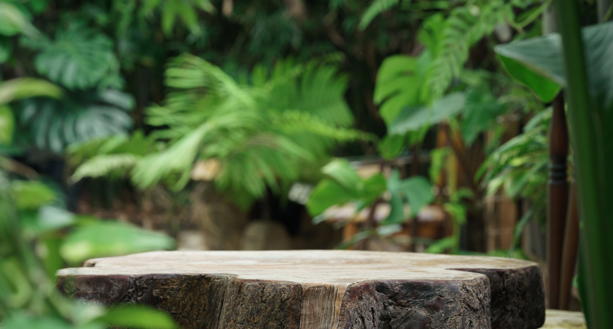 natural wood furniture