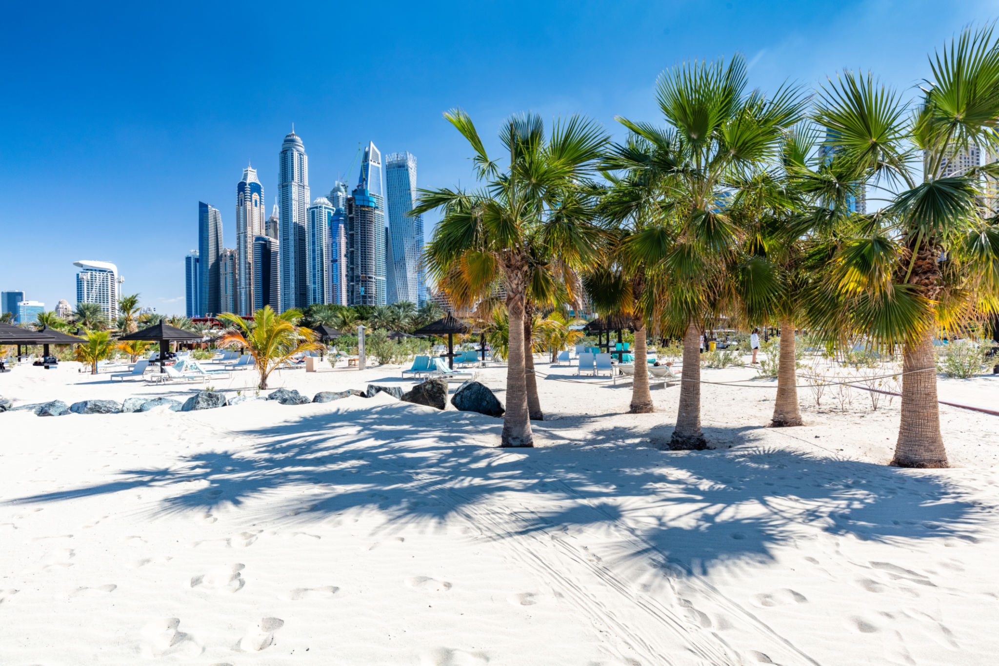 future city dubai