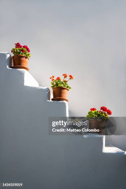 flower pots on a staircase of a white building, greece - greece island stock pictures, royalty-free photos & images