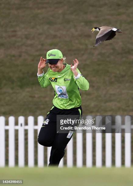 Phoebe Litchfield of the Thunder reacts after being swooped by a Plover during the Women's Big Bash League match between the Hobart Hurricanes and...