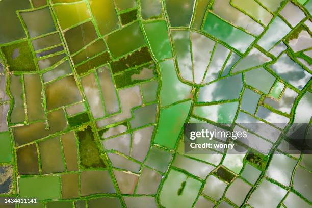 aerial view of great landscape(glass fields) at huixian town, guilin - guangxi zhuang autonomous region china stock pictures, royalty-free photos & images