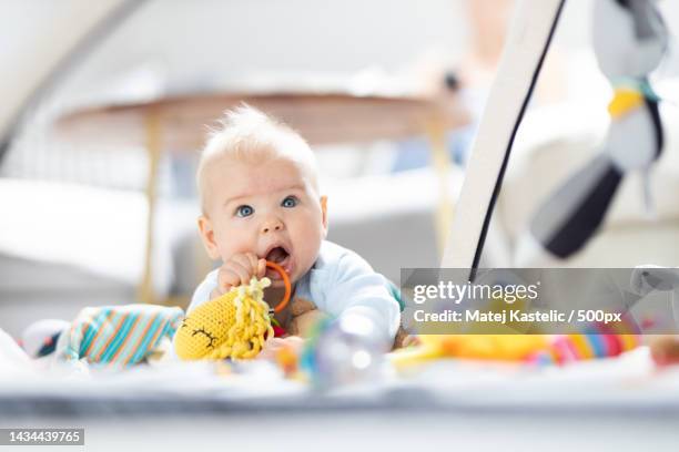cute baby boy playing with hanging toys arch on mat at home baby - baby rattle stock pictures, royalty-free photos & images