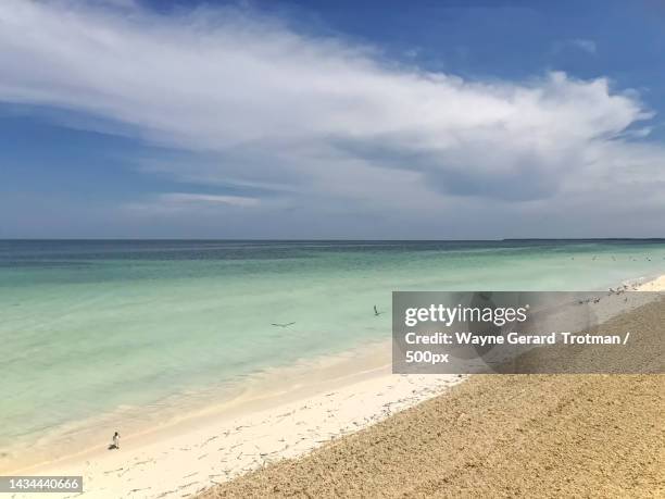 scenic view of beach against sky,matanzas,cuba - wayne gerard trotman fotografías e imágenes de stock