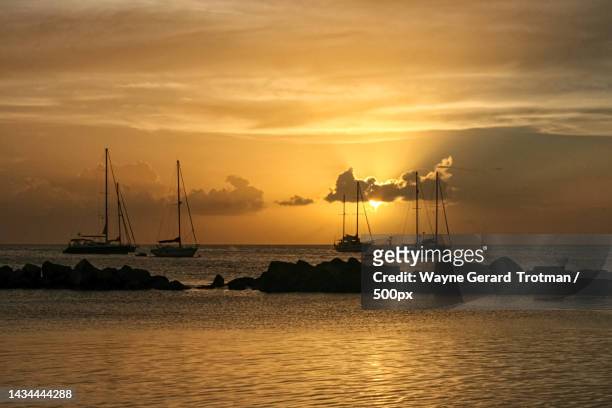 silhouette of sailboats in sea against sky during sunset,bon accord,western tobago,trinidad and tobago - wayne gerard trotman stockfoto's en -beelden