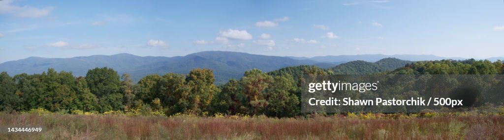 Panoramic view of trees on field against sky,Cohutta,Georgia,United States,USA