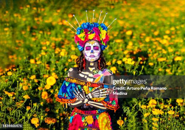 catrina with closed eyes in a field of cempasúchil flowers - la catrina stockfoto's en -beelden