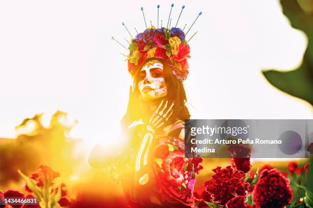 catrina en la hora dorada en el campo de flores de la pata de león - catrina mexico fotografías e imágenes de stock