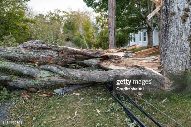 power line damage - hurricane wind stock pictures, royalty-free photos & images
