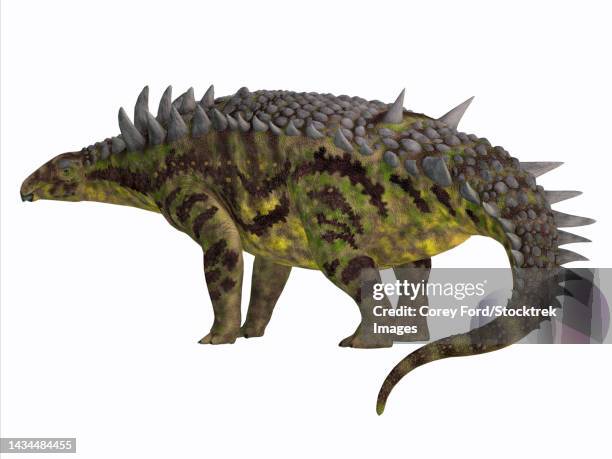 ilustrações, clipart, desenhos animados e ícones de hungarosaurus armored dinosaur, side view - scute