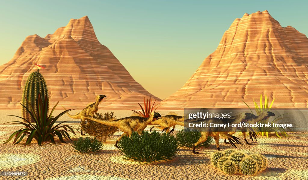 A pack of Beipiaosaurus dinosaurs travel through cactus plants in a desert area of China