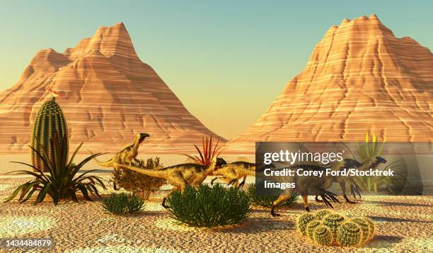 a pack of beipiaosaurus dinosaurs travel through cactus plants in a desert area of china - therizinosaurus stock illustrations