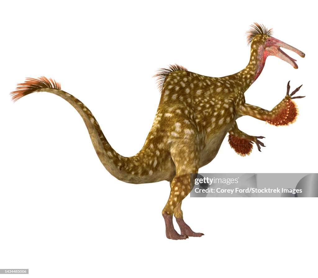 Deinocheirus dinosaur, side view on white background