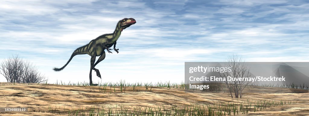 Dilong dinosaur walking in the desert by day
