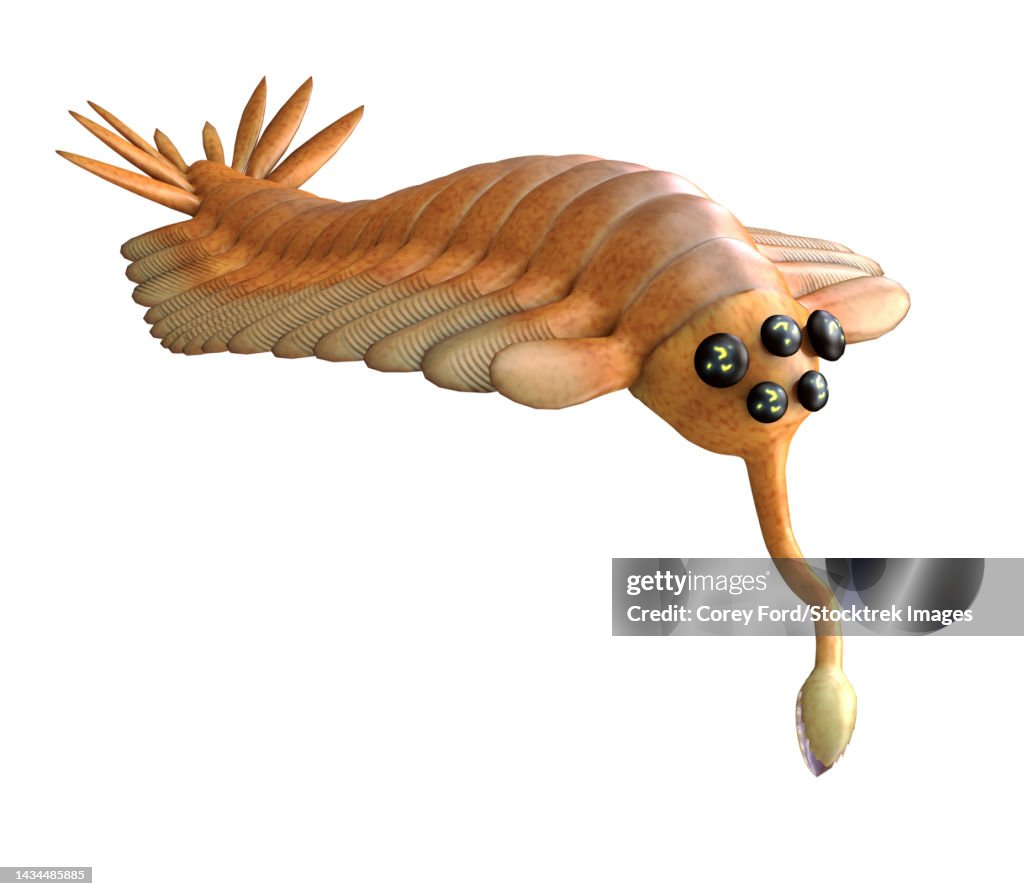 Opabinia, side view on white background
